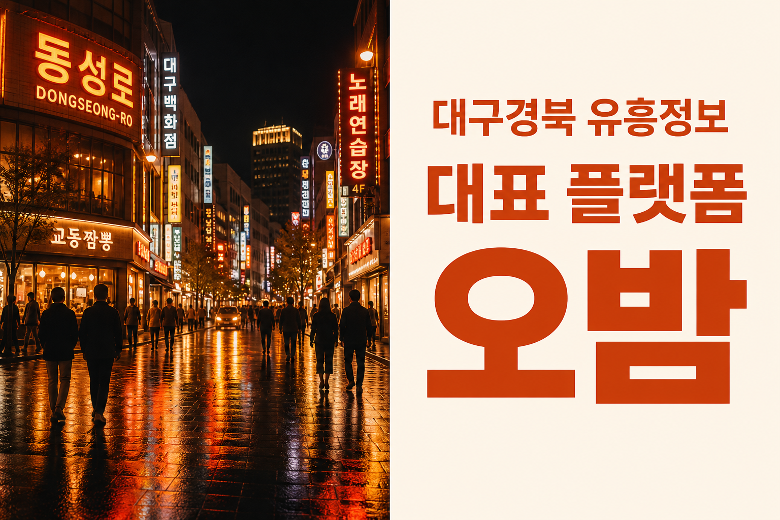 대구경북 유흥정보 대표 플랫폼 오밤